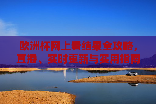 欧洲杯网上看结果全攻略，直播、实时更新与实用指南，欧洲杯网上看结果全攻略