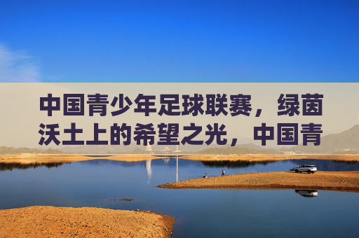 中国青少年足球联赛，绿茵沃土上的希望之光，中国青少年足球联赛，绿茵沃土上的希望之光