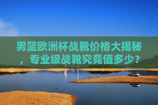 男篮欧洲杯战靴价格大揭秘,专业级战靴究竟值多少?