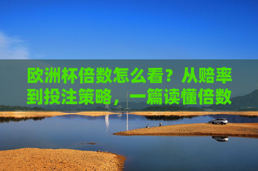 欧洲杯倍数怎么看?从赔率到投注策略,一篇读懂倍数背后的门道,欧洲杯倍数,从赔率到投注策略,读懂倍数背后的门道
