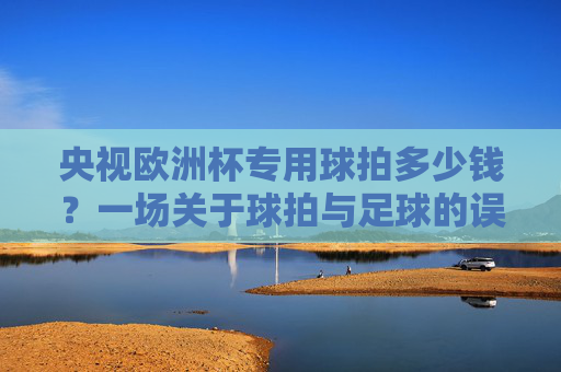 央视欧洲杯专用球拍多少钱?一场关于球拍与足球的误会,央视欧洲杯球拍乌龙,一场关于球拍与足球的误会