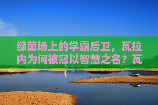绿茵场上的学霸后卫，瓦拉内为何被冠以智慧之名？瓦拉内，绿茵场上的智慧后卫
