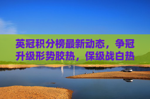 英冠积分榜最新动态，争冠升级形势胶热，保级战白热化，英冠积分榜最新动态，争冠升级胶热，保级战白热化