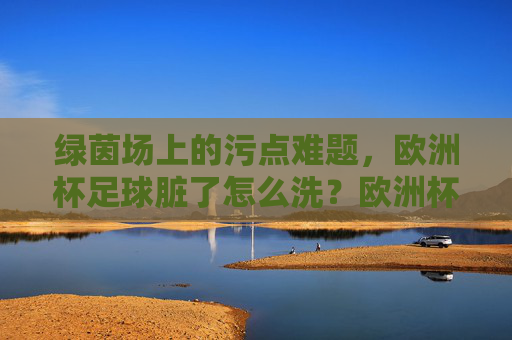 绿茵场上的污点难题,欧洲杯足球脏了怎么洗?欧洲杯足球污点难题,绿茵场之困如何洗?