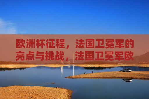 欧洲杯征程，法国卫冕军的亮点与挑战，法国卫冕军欧洲杯征程，亮点与挑战