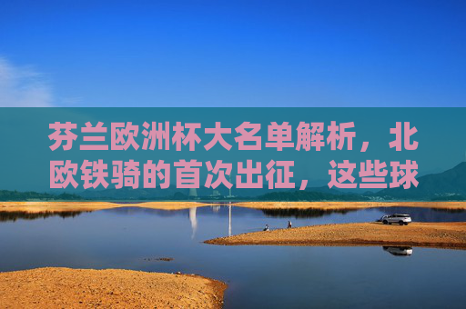 芬兰欧洲杯大名单解析,北欧铁骑的首次出征,这些球员是关键!