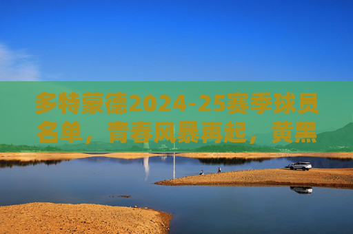 多特蒙德2024-25赛季球员名单，青春风暴再起，黄黑军团剑指巅峰，多特蒙德2024-25，青春风暴再起，黄黑军团剑指巅峰