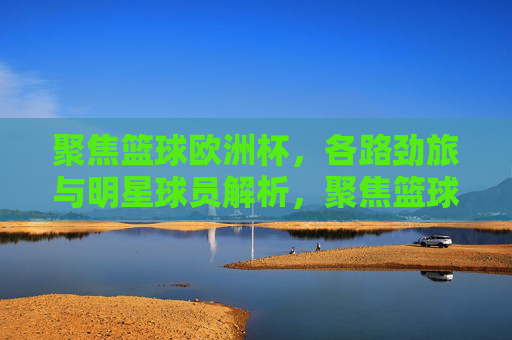 聚焦篮球欧洲杯,各路劲旅与明星球员解析,聚焦篮球欧洲杯,劲旅与明星球员解析