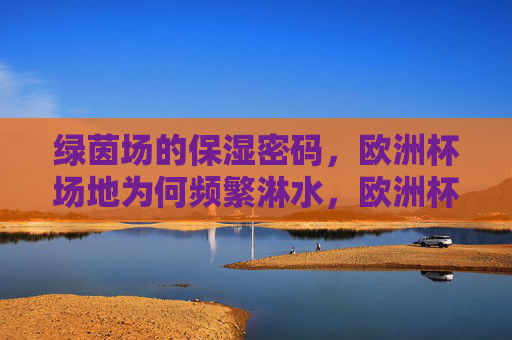 绿茵场的保湿密码,欧洲杯场地为何频繁淋水,欧洲杯场地频繁淋水,绿茵场的保湿密码