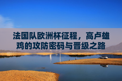 法国队欧洲杯征程,高卢雄鸡的攻防密码与晋级之路