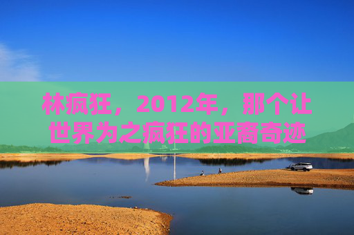 林疯狂,2012年,那个让世界为之疯狂的亚裔奇迹
