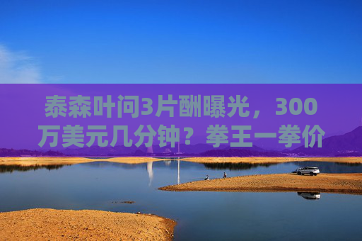 泰森叶问3片酬曝光,300万美元几分钟?拳王一拳价值背后的商业逻辑,泰森叶问3300万美元几分钟?拳王一拳价值背后的商业逻辑
