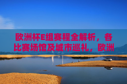 欧洲杯E组赛程全解析,各比赛场馆及城市巡礼,欧洲杯E组赛程全解析,比赛场馆与城市巡礼