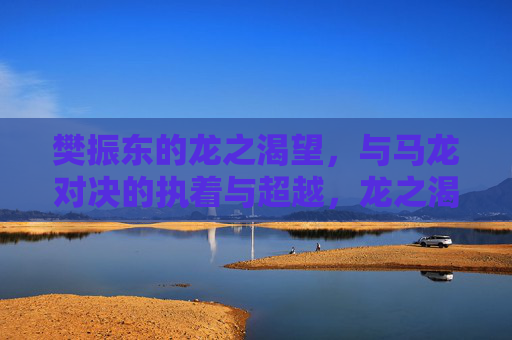 樊振东的龙之渴望,与马龙对决的执着与超越,龙之渴望,马龙对决中的执着与超越
