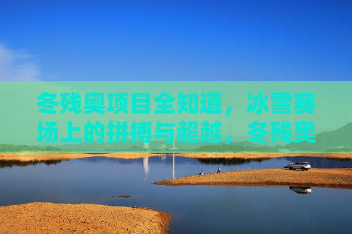 冬残奥项目全知道,冰雪赛场上的拼搏与超越,冬残奥赛场,拼搏与超越的冰雪征程