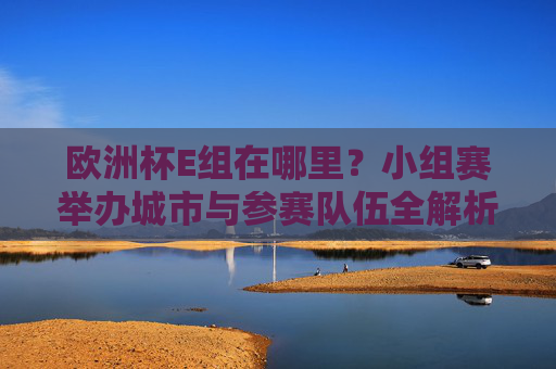 欧洲杯E组在哪里?小组赛举办城市与参赛队伍全解析,欧洲杯E组小组赛举办城市与参赛队伍全解析