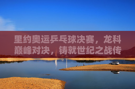 里约奥运乒乓球决赛，龙科巅峰对决，铸就世纪之战传奇，里约奥运龙科巅峰对决，铸就世纪之战传奇
