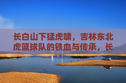 长白山下猛虎啸,吉林东北虎篮球队的铁血与传承,长白山下猛虎啸,吉林东北虎的铁血传承