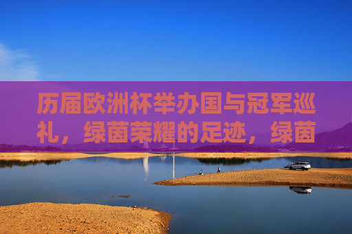 历届欧洲杯举办国与冠军巡礼，绿茵荣耀的足迹，绿茵荣耀的足迹，历届欧洲杯举办国与冠军巡礼