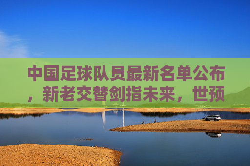 中国足球队员最新名单公布，新老交替剑指未来，世预赛征程启新篇，中国足球队最新名单，新老交替启世预赛新篇