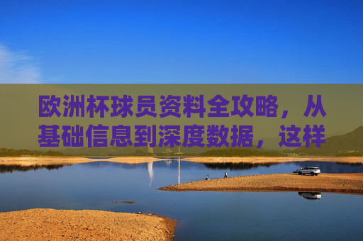 欧洲杯球员资料全攻略,从基础信息到深度数据,这样看才专业,欧洲杯球员专业资料全攻略,从基础信息到深度数据