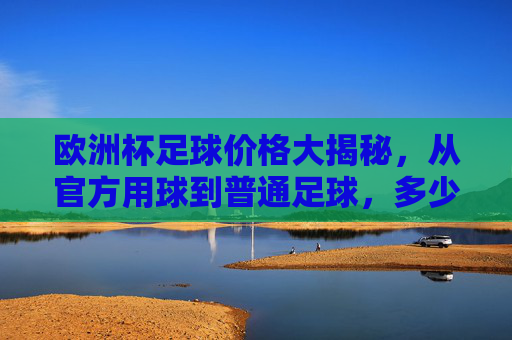 欧洲杯足球价格大揭秘，从官方用球到普通足球，多少钱能入手？欧洲杯足球价格，官方用球到普通足球，多少钱能入手？