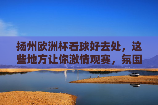 扬州欧洲杯看球好去处,这些地方让你激情观赛,氛围拉满!扬州欧洲杯观赛好去处,氛围激情拉满!