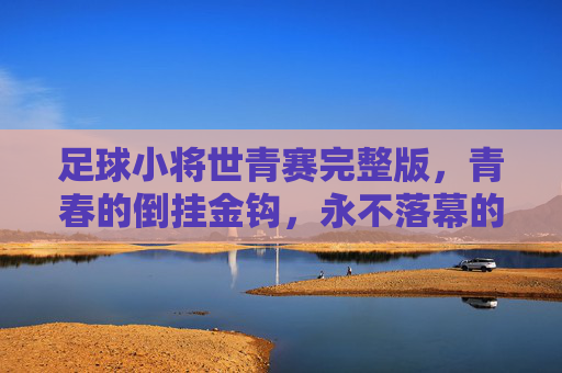 足球小将世青赛完整版,青春的倒挂金钩,永不落幕的热血史诗,足球小将世青赛,倒挂金钩的青春热血史诗