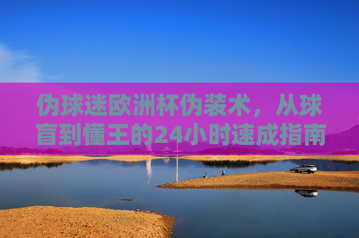 伪球迷欧洲杯伪装术,从球盲到懂王的24小时速成指南,伪球迷欧洲杯伪装术,24小时从球盲到懂王