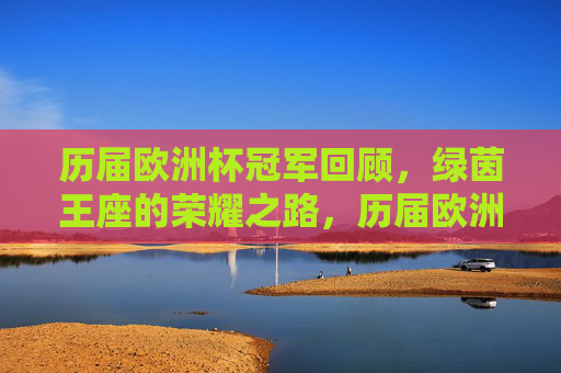 历届欧洲杯冠军回顾,绿茵王座的荣耀之路,历届欧洲杯冠军回顾,绿茵王座的荣耀之路