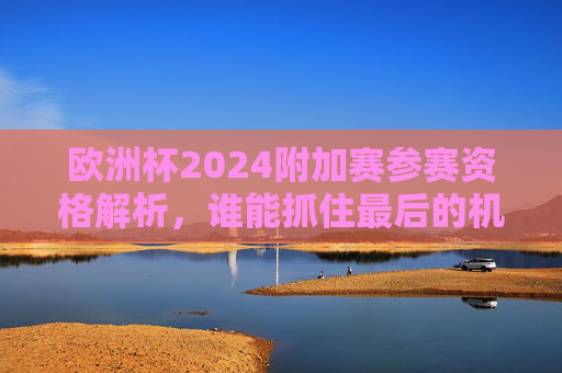 欧洲杯2024附加赛参赛资格解析,谁能抓住最后的机会?欧洲杯2024附加赛参赛资格解析,谁能抓住最后的机会?