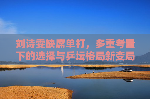 刘诗雯缺席单打,多重考量下的选择与乒坛格局新变局,刘诗雯缺席单打,多重考量与乒坛格局新变局