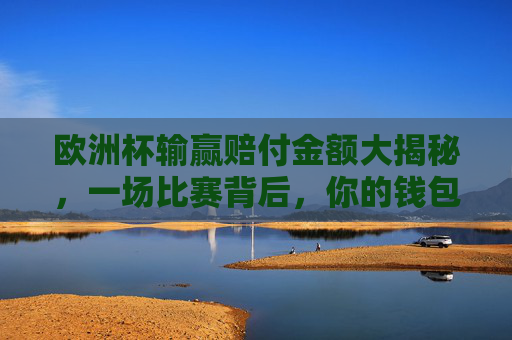 欧洲杯输赢赔付金额大揭秘,一场比赛背后,你的钱包会变多少?欧洲杯输赢赔付金额揭秘,一场比赛,你的钱包会变多少?