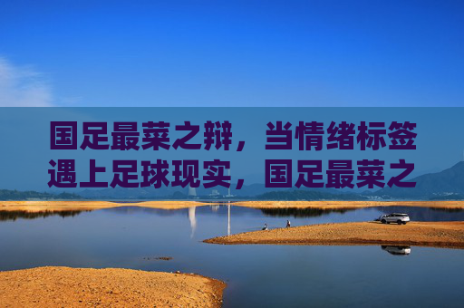 国足最菜之辩,当情绪标签遇上足球现实,国足最菜之辩,情绪标签与足球现实的碰撞