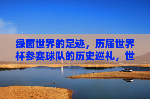 绿茵世界的足迹，历届世界杯参赛球队的历史巡礼，世界杯参赛球队的绿茵足迹