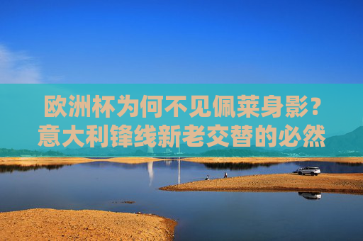 欧洲杯为何不见佩莱身影?意大利锋线新老交替的必然选择,佩莱无缘欧洲杯,意大利锋线新老交替的必然选择