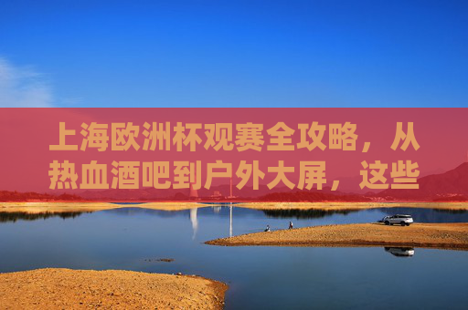 上海欧洲杯观赛全攻略,从热血酒吧到户外大屏,这些地方让你沉浸式看球!