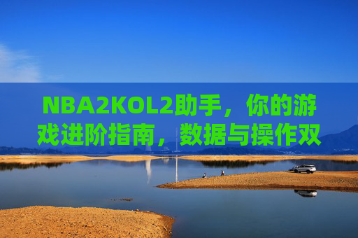 NBA2KOL2助手,你的游戏进阶指南,数据与操作双提升,NBA2KOL2助手,游戏进阶,数据操作双提升