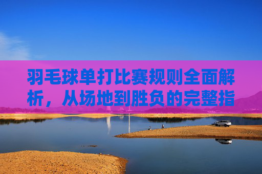 羽毛球单打比赛规则全面解析,从场地到胜负的完整指南,羽毛球单打比赛规则全面解析,从场地到胜负的完整指南