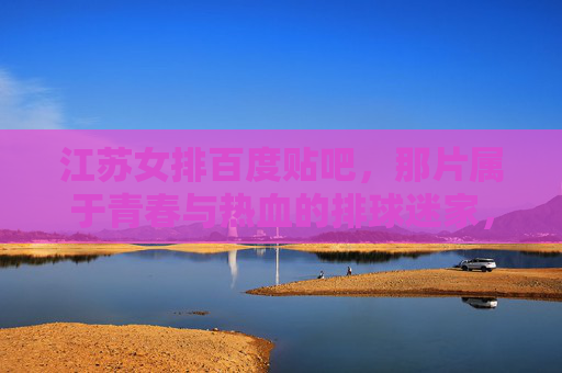 江苏女排百度贴吧，那片属于青春与热血的排球迷家，江苏女排贴吧，青春热血的排球迷家