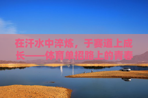 在汗水中淬炼,于赛道上成长——体育单招路上的青春答卷
