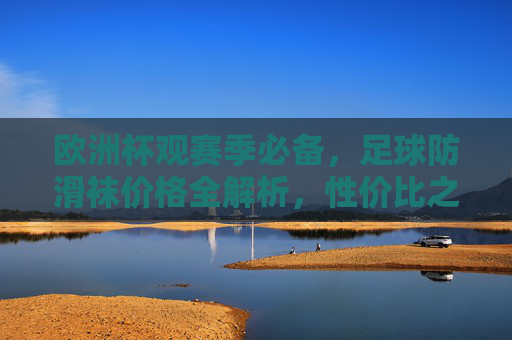 欧洲杯观赛季必备，足球防滑袜价格全解析，性价比之选看这里！欧洲杯观赛季必备，足球防滑袜价格全解析与性价比之选