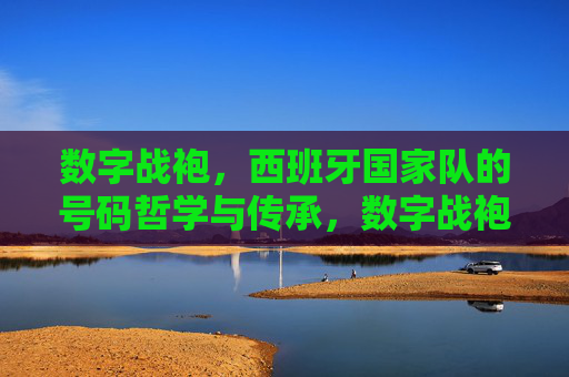 数字战袍,西班牙国家队的号码哲学与传承,数字战袍,西班牙国家队的号码哲学与传承