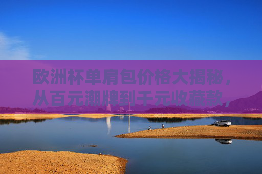 欧洲杯单肩包价格大揭秘,从百元潮牌到千元收藏款,哪款更适合你?欧洲杯单肩包价格大揭秘,百元潮牌到千元收藏款,哪款更适合你?