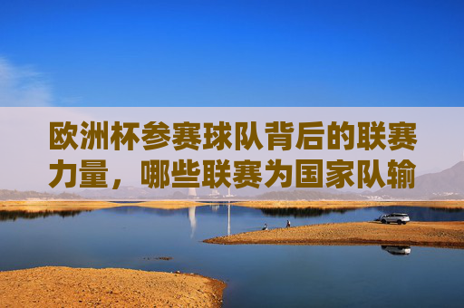 欧洲杯参赛球队背后的联赛力量,哪些联赛为国家队输送精英?欧洲杯参赛球队背后的联赛力量,输送精英的联赛