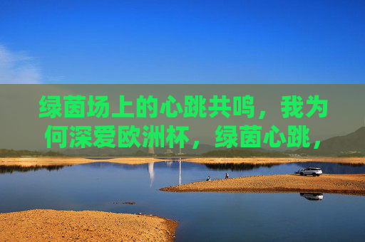 绿茵场上的心跳共鸣，我为何深爱欧洲杯，绿茵心跳，深爱欧洲杯