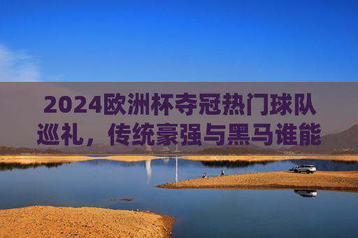 2024欧洲杯夺冠热门球队巡礼，传统豪强与黑马谁能笑到最后？2024欧洲杯夺冠热门巡礼，传统豪强与黑马谁能笑到最后
