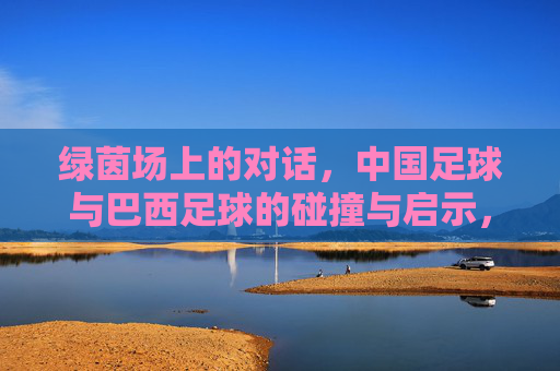 绿茵场上的对话,中国足球与巴西足球的碰撞与启示,绿茵对话,中巴足球碰撞的启示