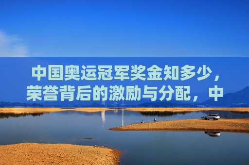 中国奥运冠军奖金知多少,荣誉背后的激励与分配,中国奥运冠军奖金的激励与分配