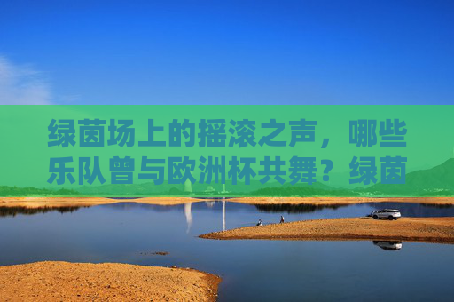 绿茵场上的摇滚之声,哪些乐队曾与欧洲杯共舞?绿茵场摇滚之声,曾与欧洲杯共舞的乐队